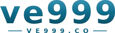 ve999 logo